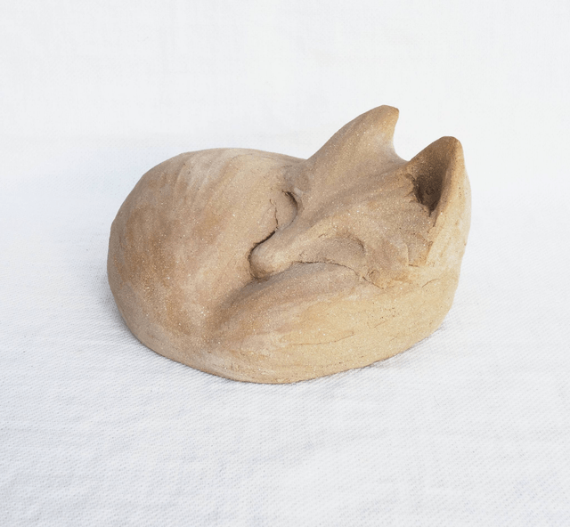 Renard endormi